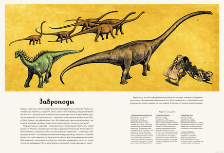 Завроподы - иллюстрация из книги "Динозавриум"