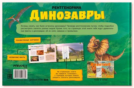 Задняя обложка книги с описанием, примерами разворотов и штрихкодом