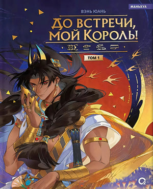 Обложка: Вэнь Юань. До встречи, мой король! Том 1