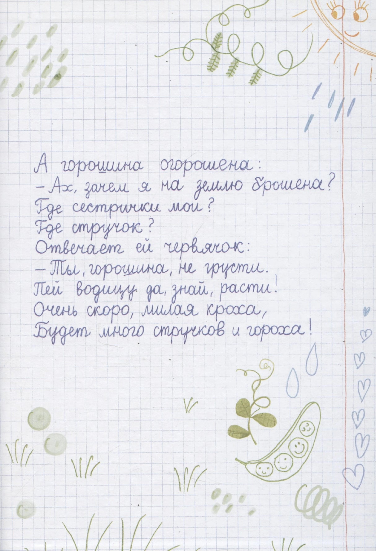 Страница в клетку со стихотворением о горошине и рисунками ростков и стручка