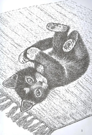 Чёрно-белый рисунок котёнка, играющего на коврике, страница 5.