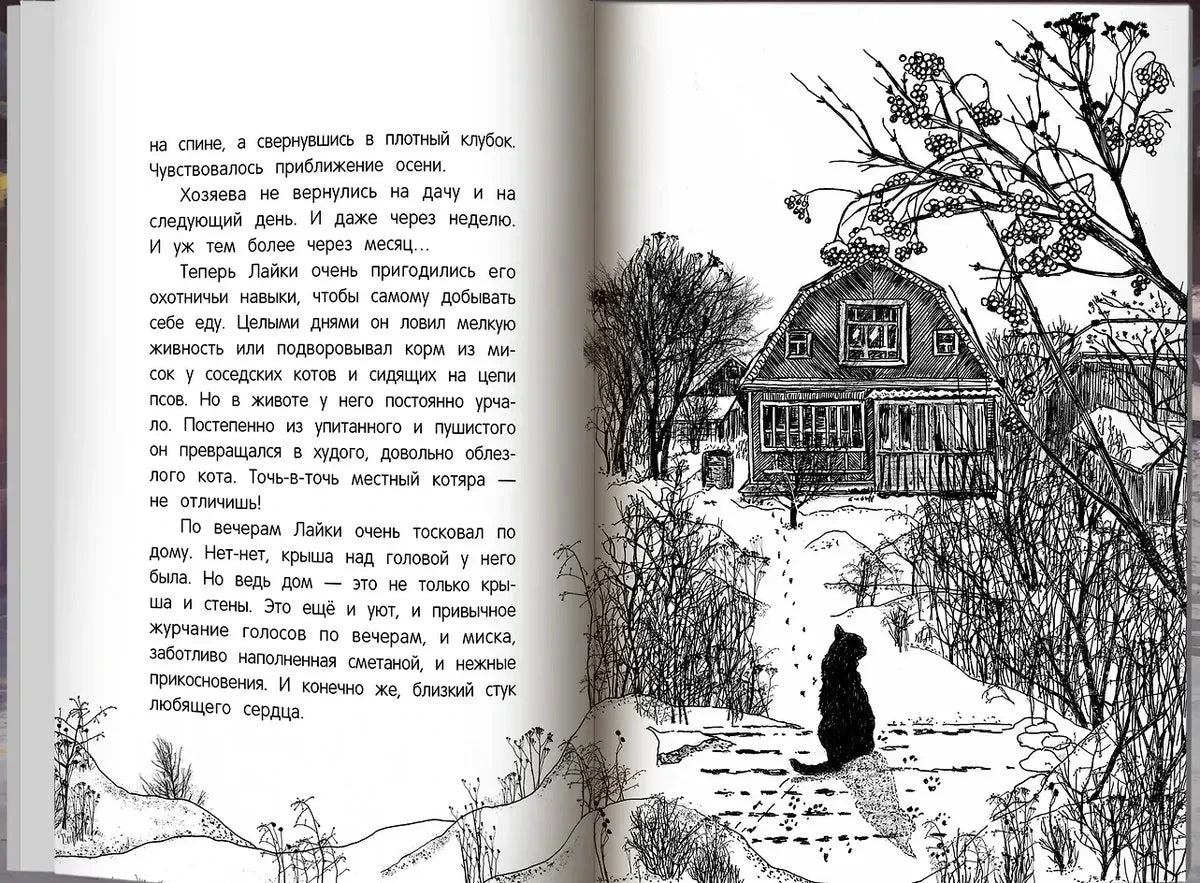 Разворот с текстом и рисунком дома, к которому идёт чёрный кот.