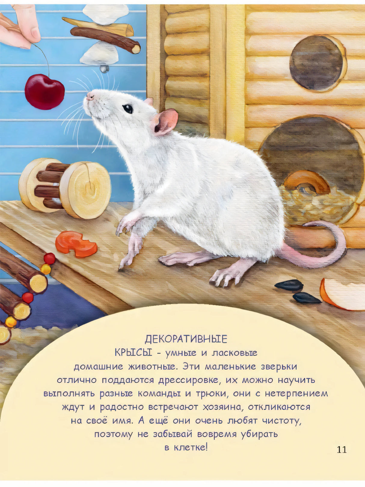 Страница о декоративной крысе рядом с домиком и вишней