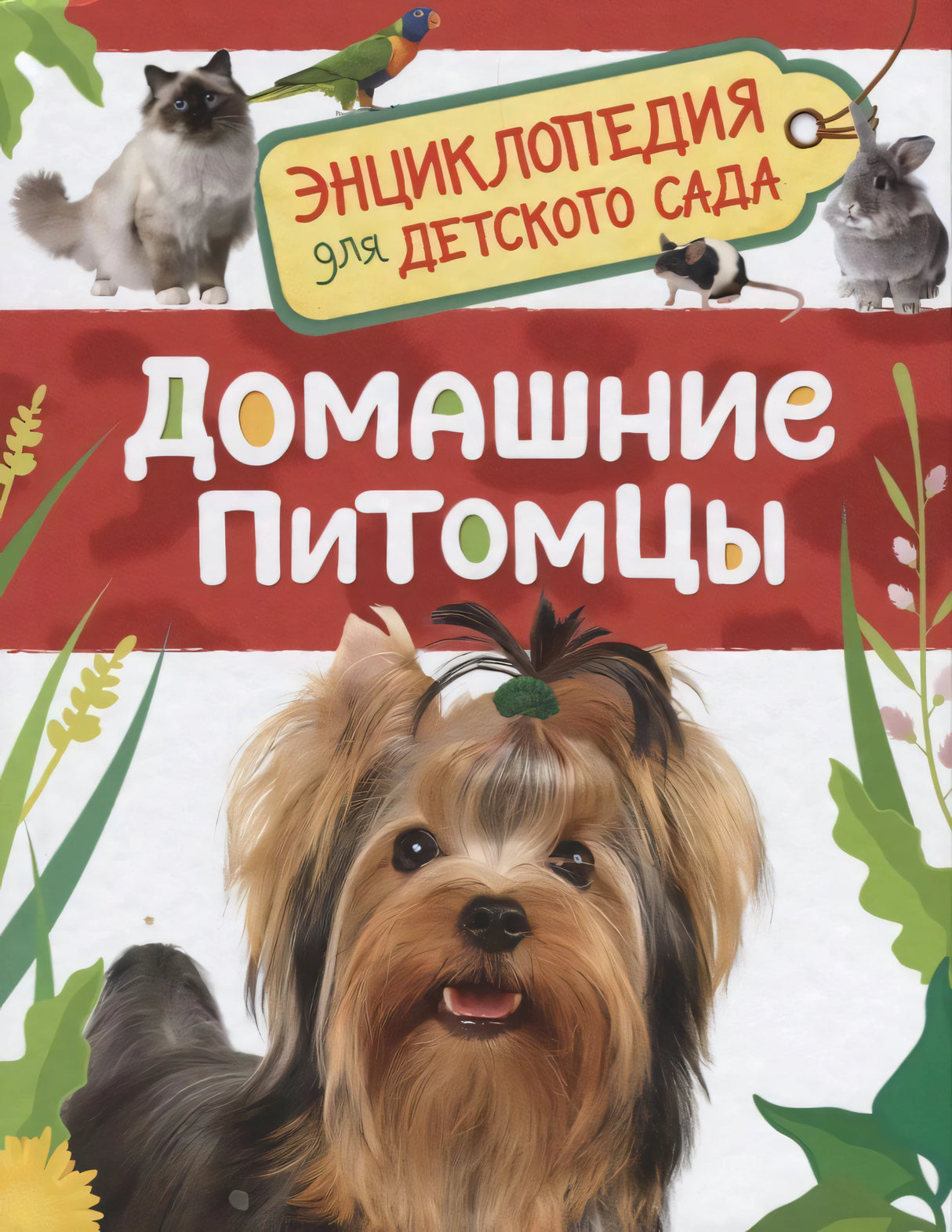 Энциклопедия для детского сада. Домашние питомцы