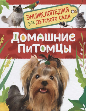 Энциклопедия для детского сада. Домашние питомцы