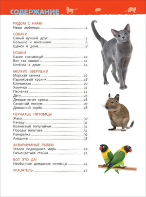 Содержание книги о домашних питомцах