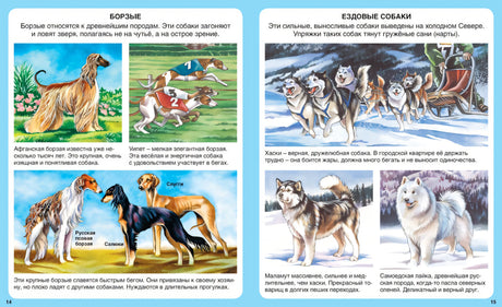 Домашние питомцы 978-5-18-001046-9, 978-5-389-08628-9 - 6