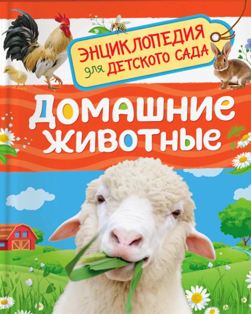 Обложка книги «Домашние животные» с ягнёнком, петухом и кроликом.