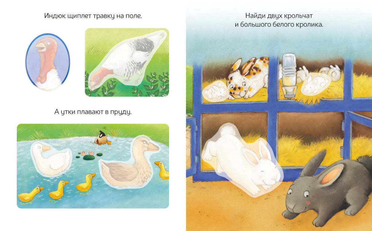 Разворот книги: индюк, утки на пруду, кролики в клетке — задания с наклейками для детей