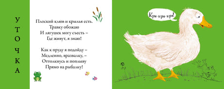 Разворот с загадкой об утке и рисунком белой утки.