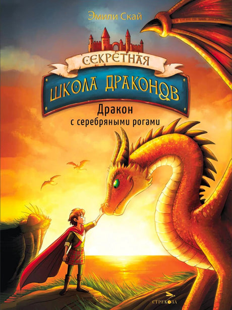 Обложка книги «Секретная школа драконов. Дракон с серебряными рогами» с мальчиком и драконом.