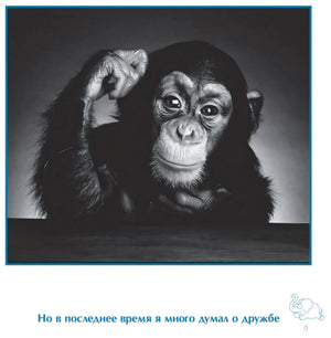 Страница 9 с детёнышем шимпанзе