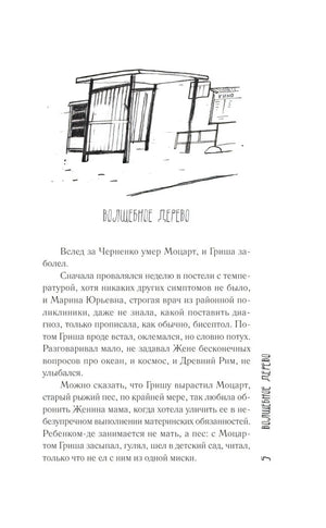 Двадцать шестой null - 4