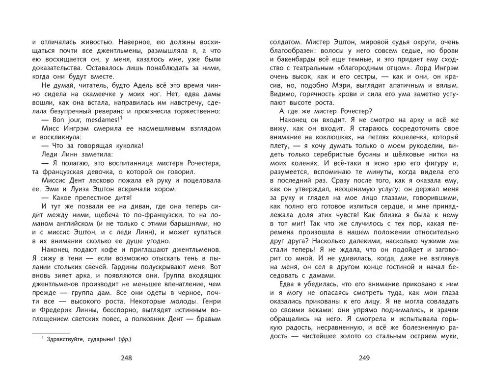 Текстовый разворот романа, страницы 248–249.