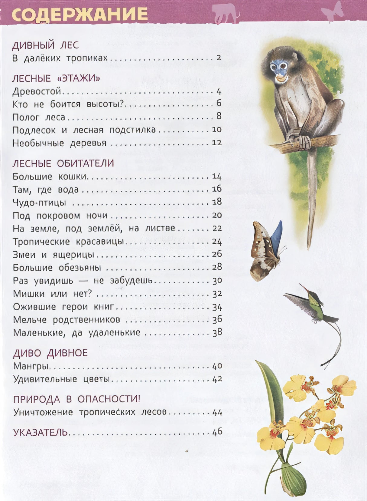 Джунгли (Энциклопедия для детского сада) 978-5-353-08917-9 - 0