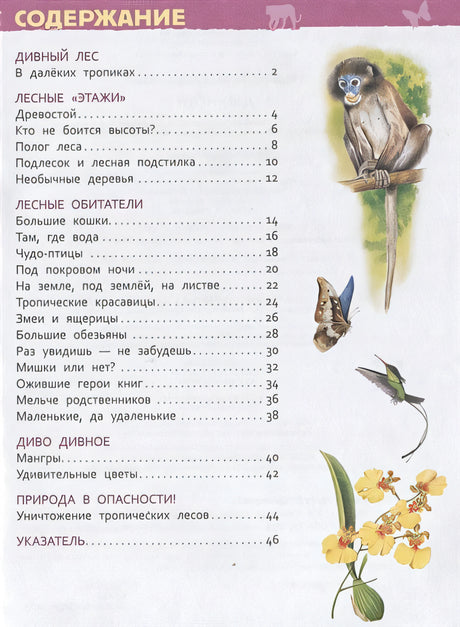Джунгли (Энциклопедия для детского сада) 978-5-353-08917-9 - 0