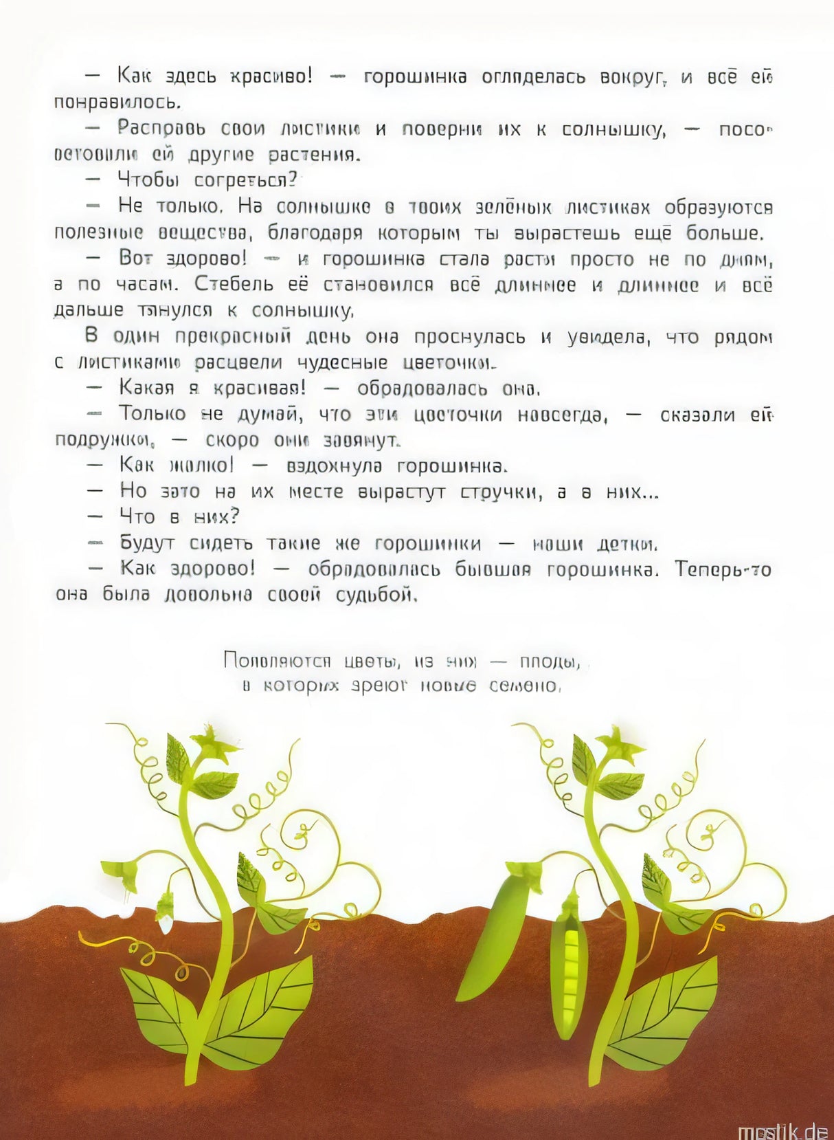 Сказка про растения для детей. Энциклопедия для малышей в сказках.