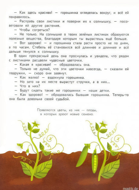 Сказка про растения для детей. Энциклопедия для малышей в сказках.