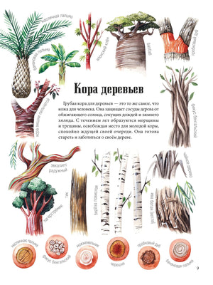 Страница «Кора деревьев» с иллюстрациями разных видов коры и растений