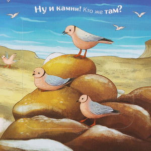 Разворот: три птицы на камнях, текст «Ну и камни! Кто же там?», видны клапаны-окошки книги