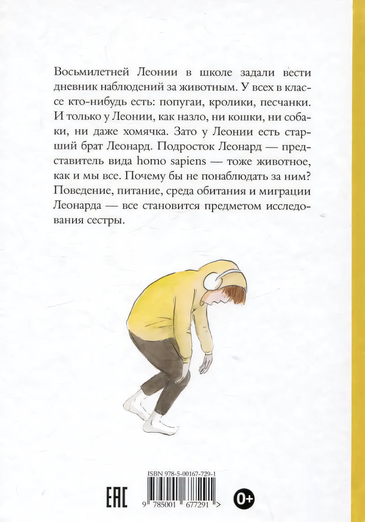 Задняя обложка с аннотацией и иллюстрацией подростка