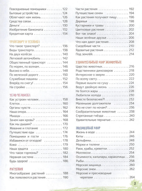 Содержание: транспорт, тело человека, растения, животные
