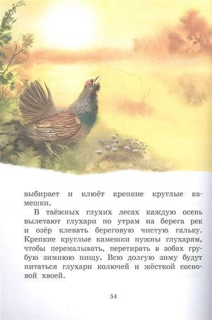 Год в лесу. Рассказы о природе 978-5-389-20477-5 - 1