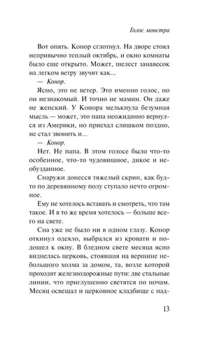 Страница 13 романа