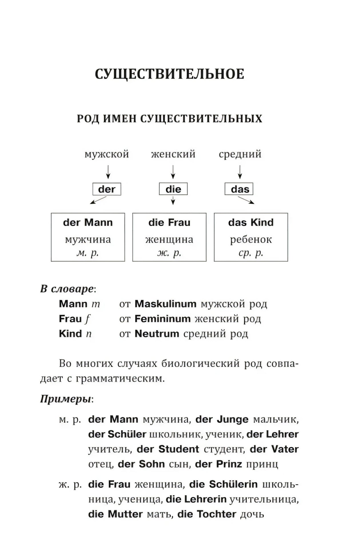 Страница о роде существительных со схемой der, die, das