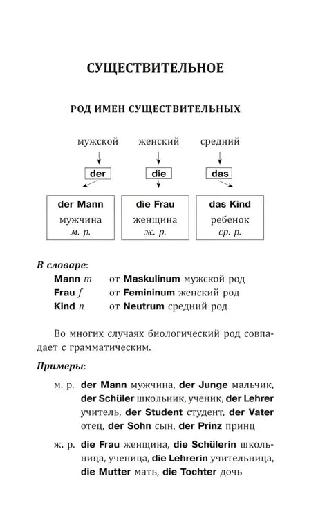Страница о роде существительных со схемой der, die, das
