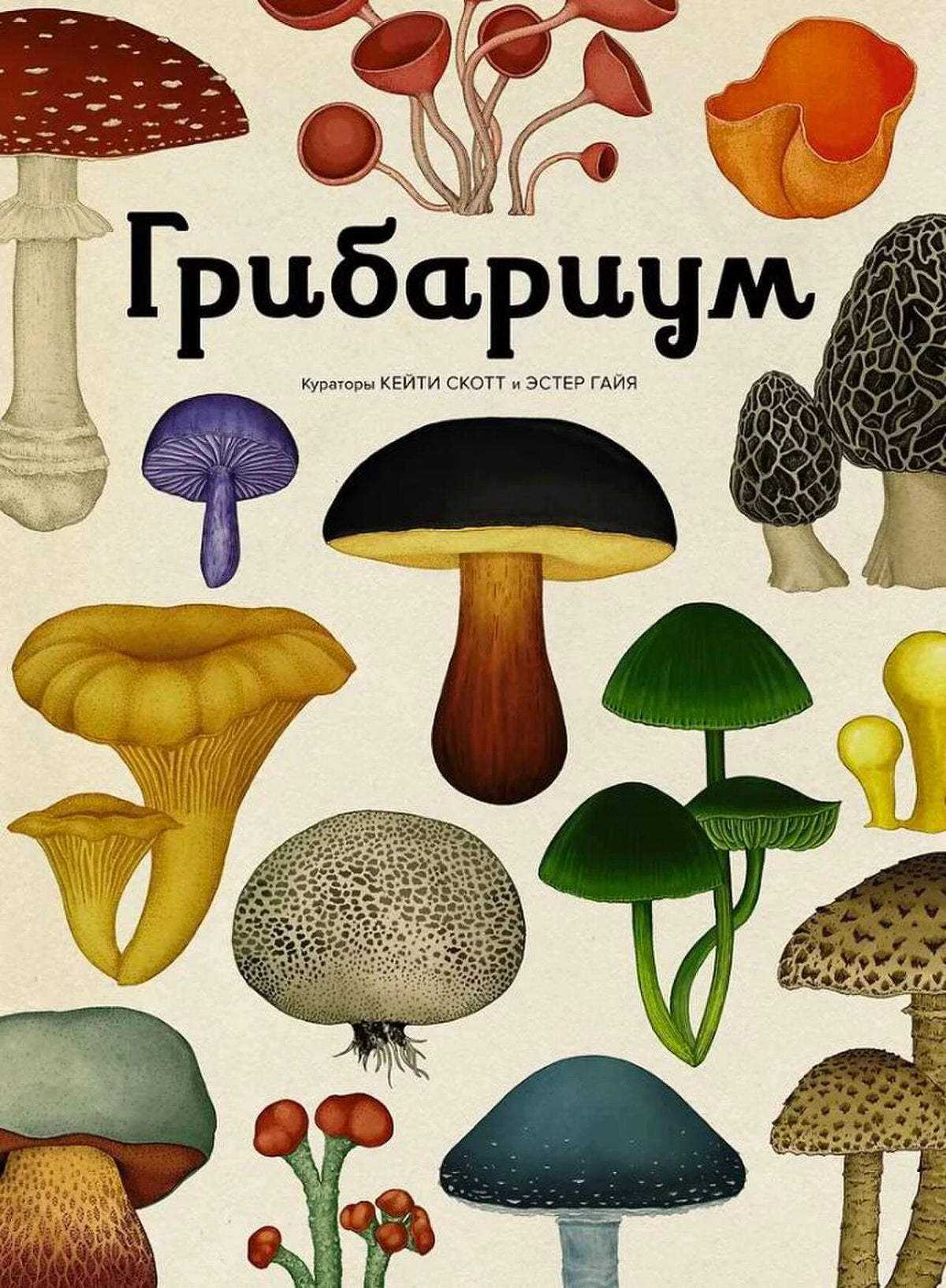 Обложка книги «Грибариум» с ботаническими иллюстрациями грибов