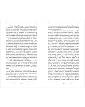 Разворот страниц 228–229 романа с серыми декоративными виньетками