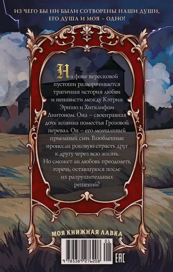 Задняя обложка с аннотацией романа на фоне грозового пейзажа.