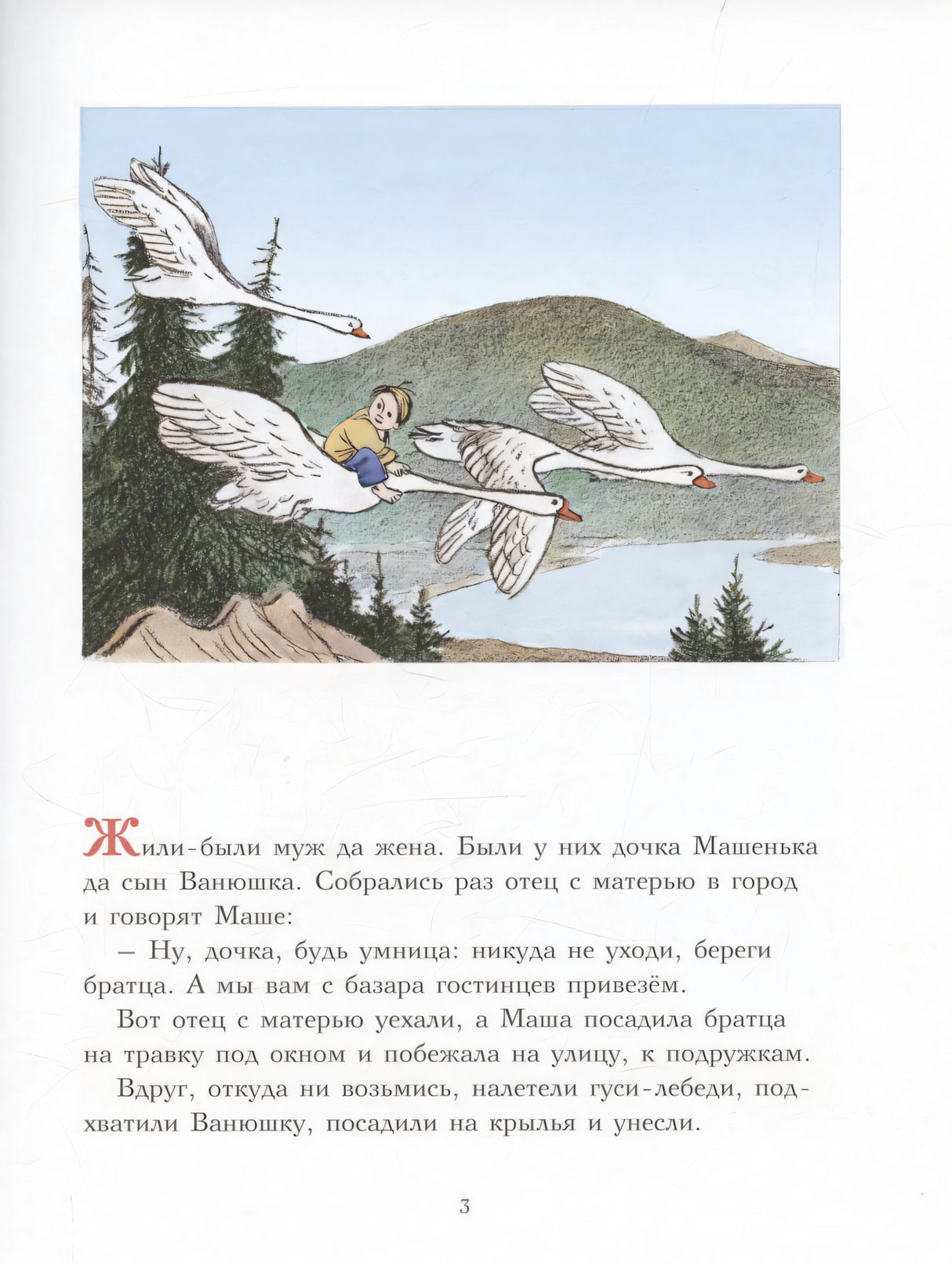 Гуси-лебеди 978-5-00041-653-2 - 2