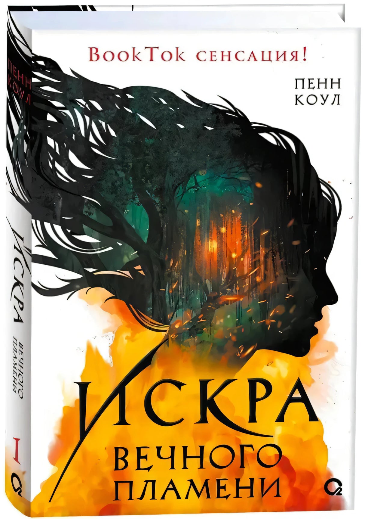 Обложка книги «Искра вечного пламени», Пенн Коул