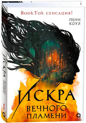 Обложка книги «Искра вечного пламени», Пенн Коул