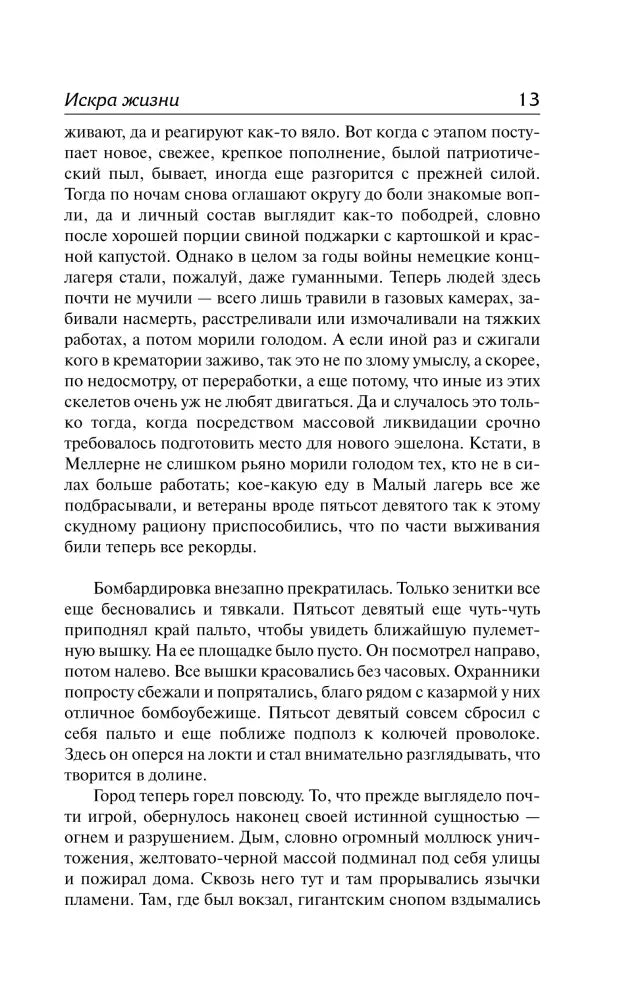 Страница 13 романа «Искра жизни» с русским художественным текстом