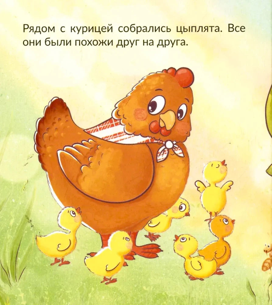 Страница детской книги: курица и цыплята на зелёной поляне.