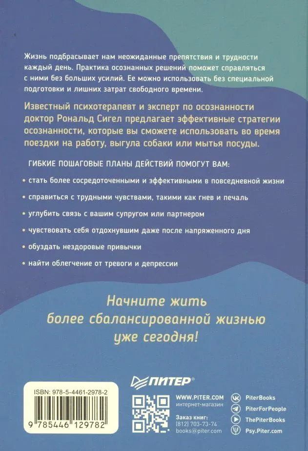 Задняя обложка с аннотацией, штрихкодом и логотипом издательства «Питер»