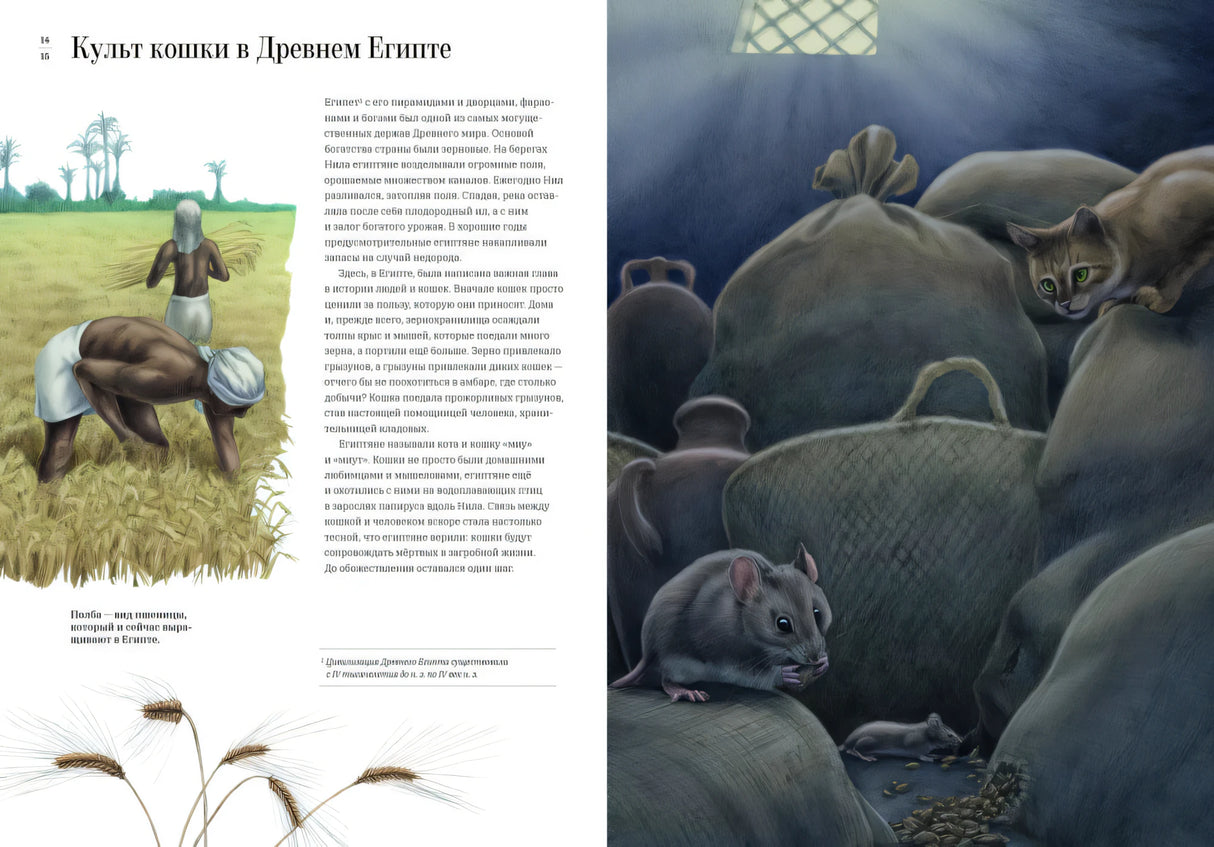 Как кошка приручила человека. История кошек и людей 9785907793446