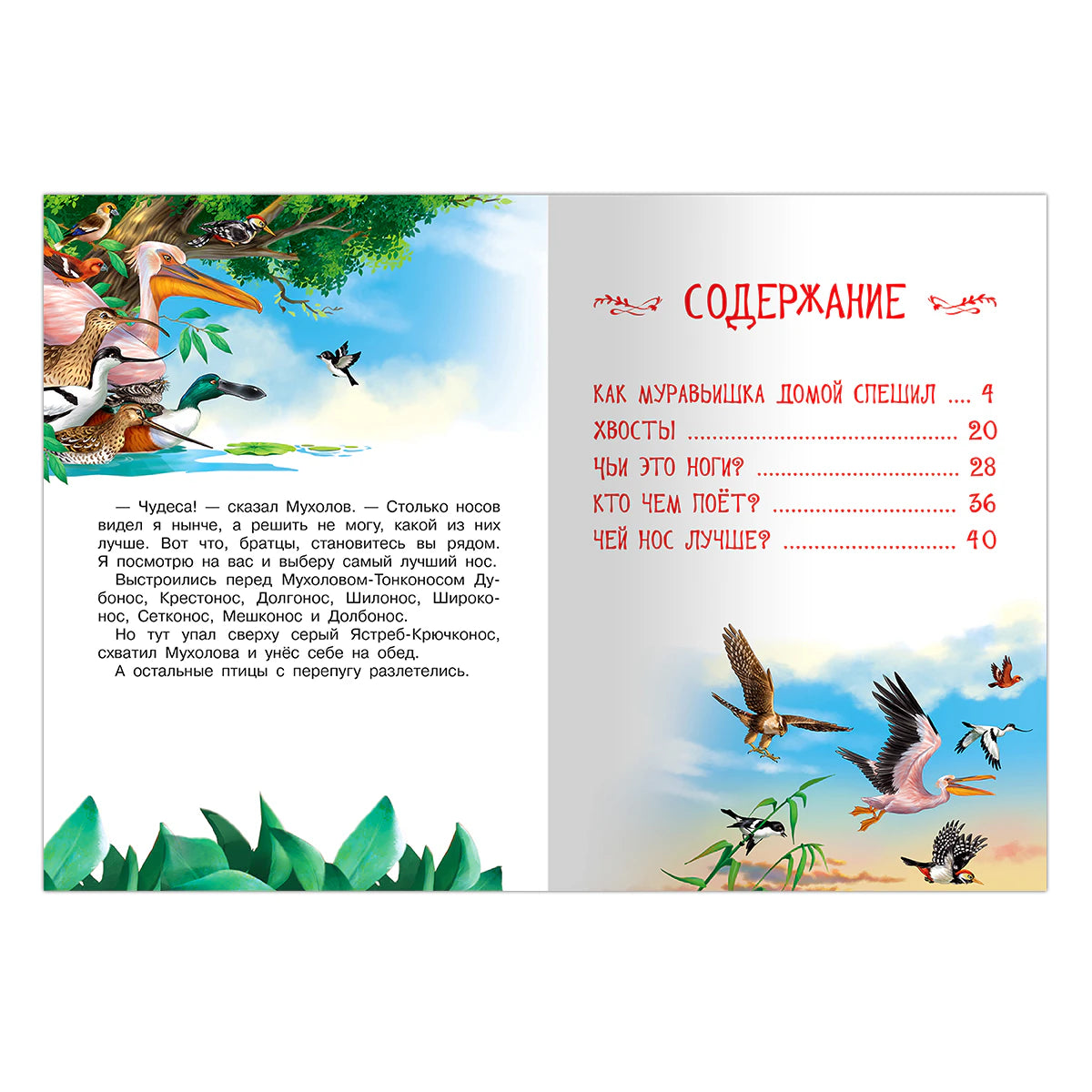 Разворот с содержанием книги и иллюстрациями птиц.