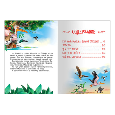 Разворот с содержанием книги и иллюстрациями птиц.