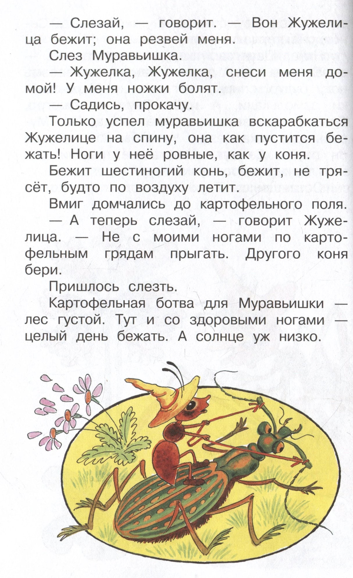 Страница сказки с текстом о жужелице и рисунком муравья на жуке