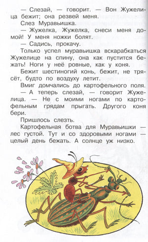 Страница сказки с текстом о жужелице и рисунком муравья на жуке