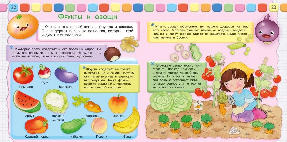 Разворот «Фрукты и овощи» с рисунками продуктов и огорода