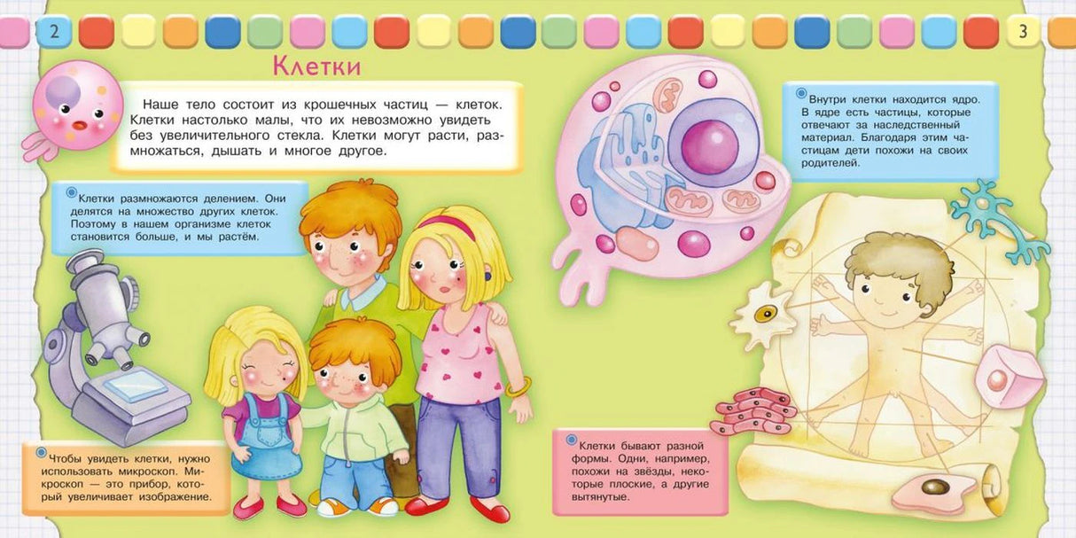 Разворот страниц 2–3 «Клетки» с рисунками детей, микроскопа и строения клетки