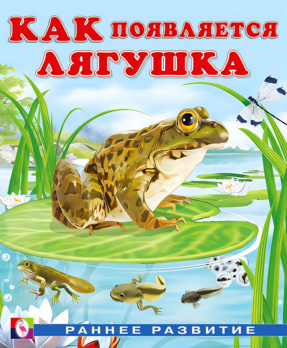 Как  появляется лягушка 978-5-7833-2923-4 - 0