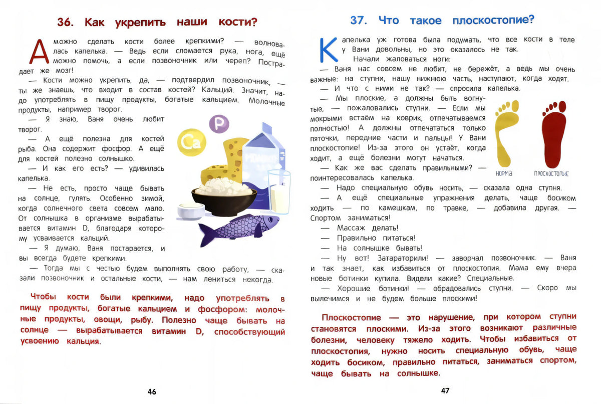 Разворот о костях и плоскостопии с продуктами и следами ног