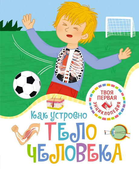 Передняя обложка «Как устроено тело человека» с мальчиком и видимым скелетом