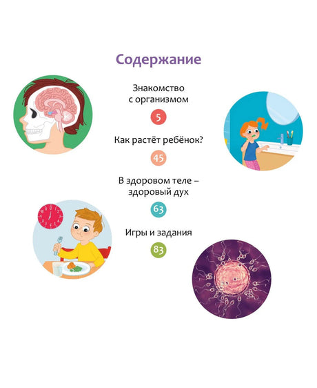 Страница содержания с четырьмя разделами книги и круглыми иллюстрациями